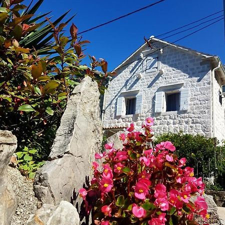 Old Stone Villa Lalosevic Котор Екстериор снимка