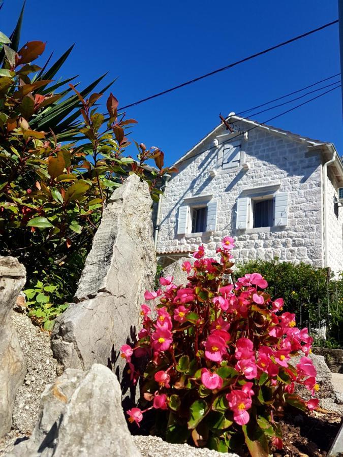 Old Stone Villa Lalosevic Котор Екстериор снимка